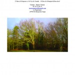location camping Pigeonnier2